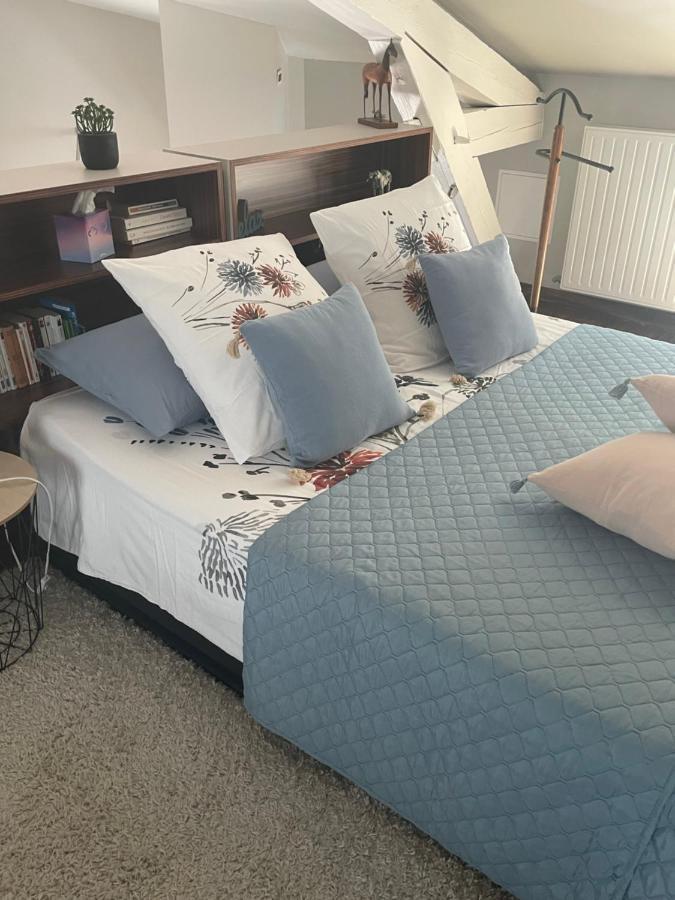 La Suite Alain Нанси Екстериор снимка